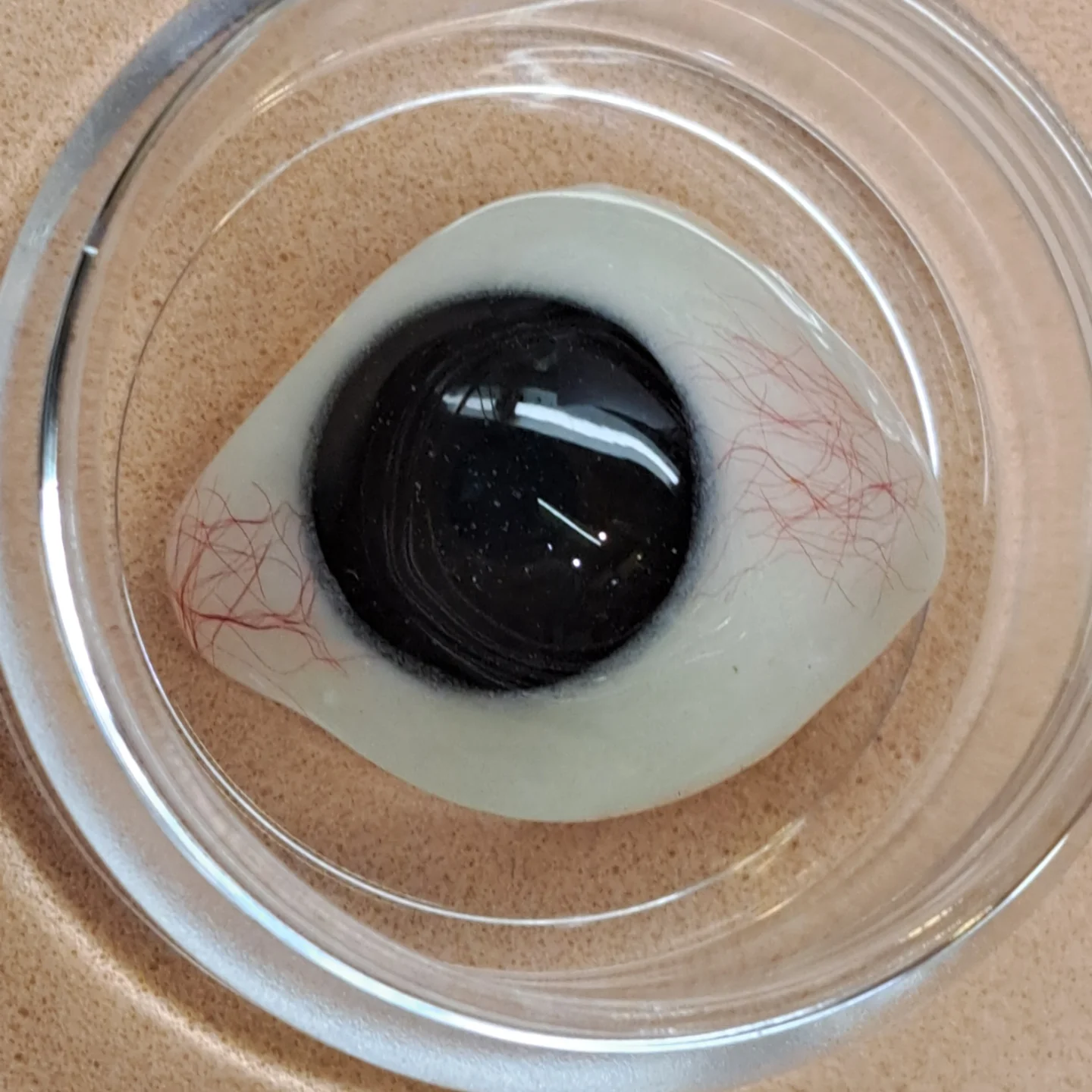 Prótesis ocular con pupila negra en contenedor de vidrio